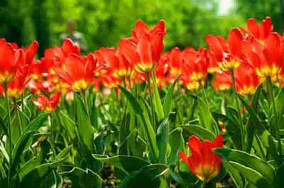 April Events in New Jersey