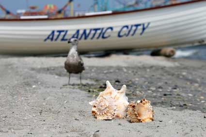 Atlantic City Hotels