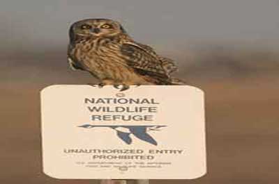 Cape May National Wildlife Refuge