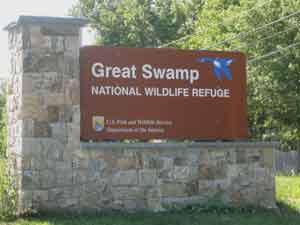 Great Swamp National Wildlife Refuge