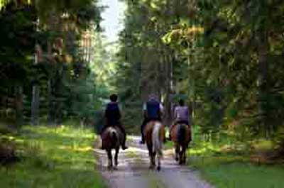Horseback Riding