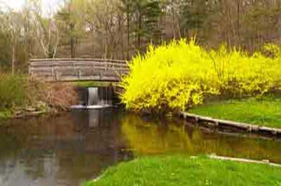 March Events in New Jersey