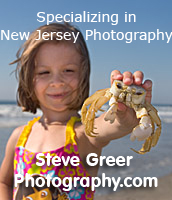 Steve Greer Photographer