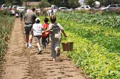 Organic Food Delivery In New Jersey Organic Food Delivery In New Jersey