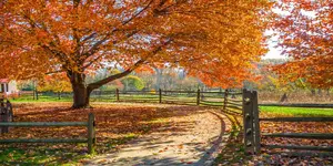 NJ Fall Activities, Scenic trips, events, and things to do