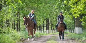 horseback-riding-800.jpg
