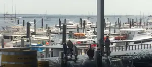 on-the-deck-900.jpg