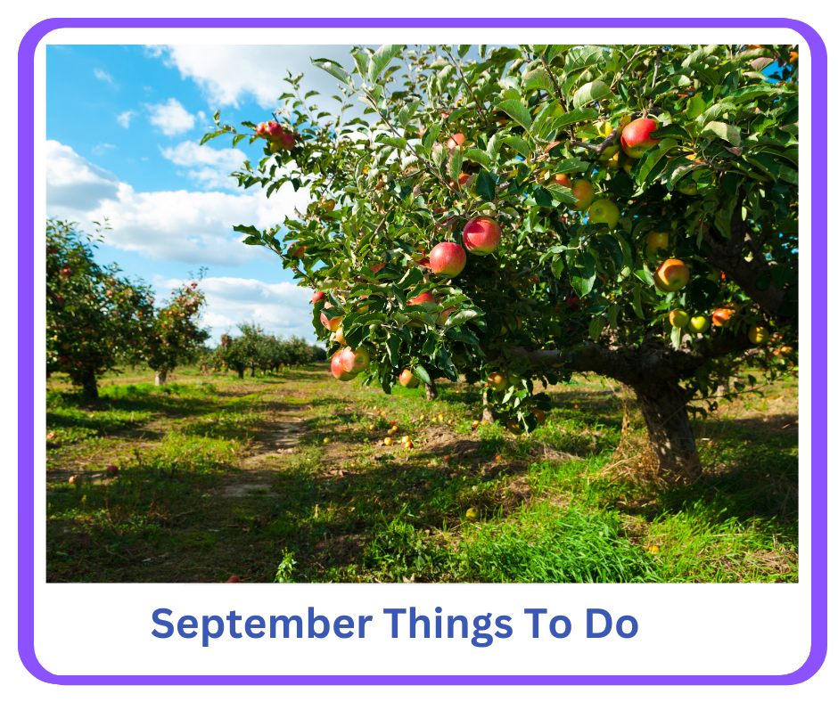 Top Ten NJ September Things To Do. Festivals, concerts, themed events