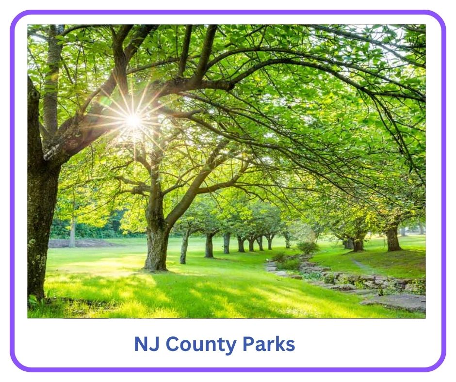 NJ County Parks