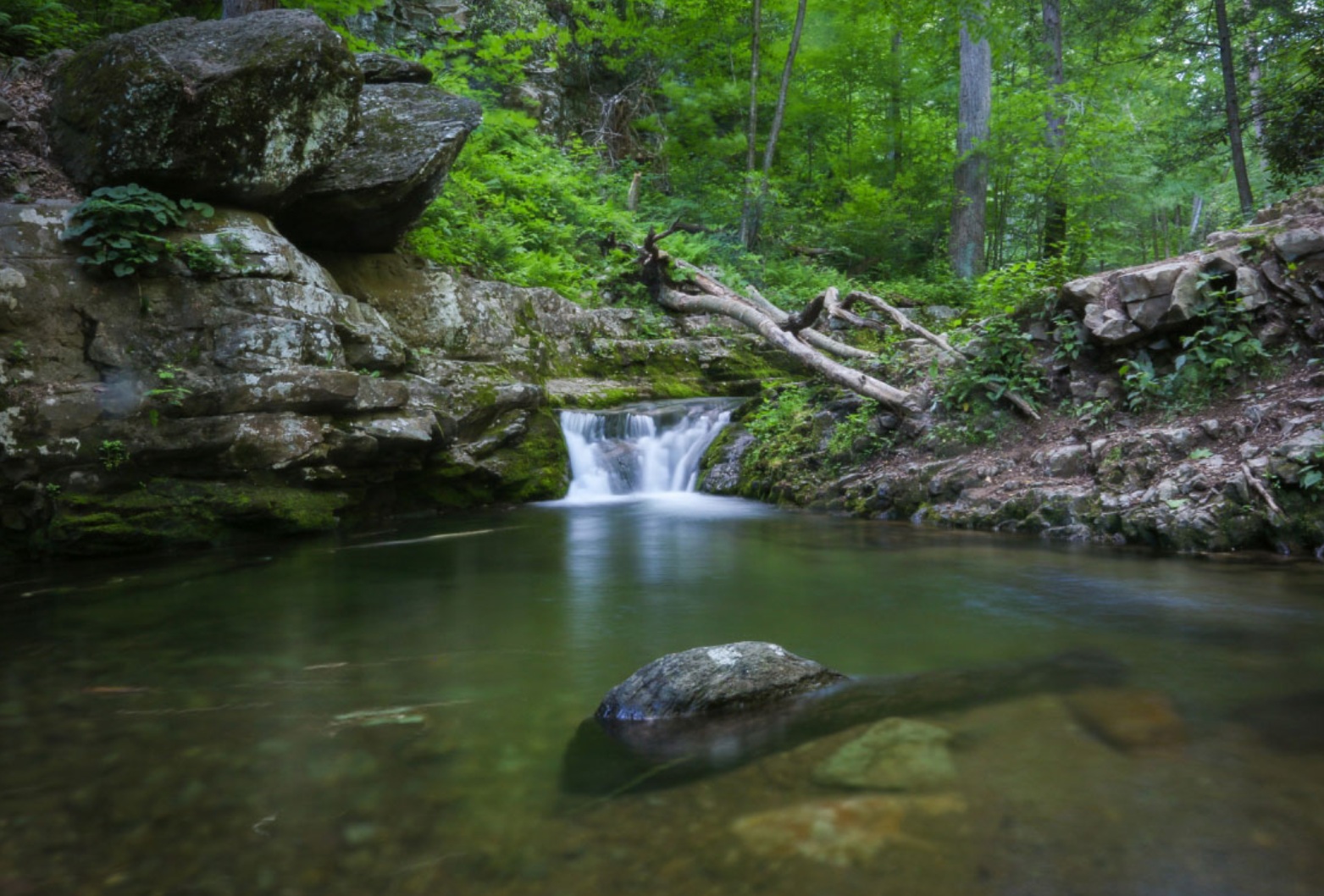 Dunnfield Creek Falls, NJ