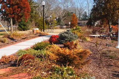 Linwood Arboretum