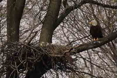 wallkill river wildlife refuge, NJ wallkill river wildlife refuge, NJ