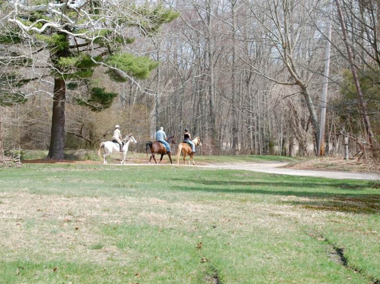 Wharton State Forest Wharton State Forest