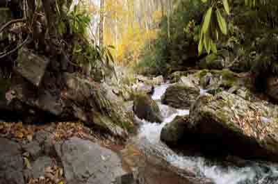 Appalacian Trail Appalacian Trail