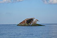 SS Atlantus Concrete Ship SS Atlantus Concrete Ship