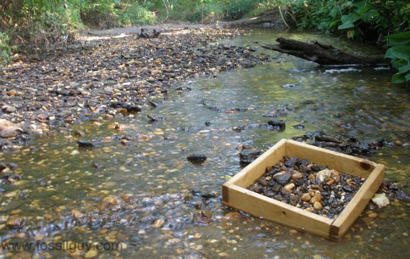 New Jersey Big Brook Preserve New Jersey Big Brook Preserve