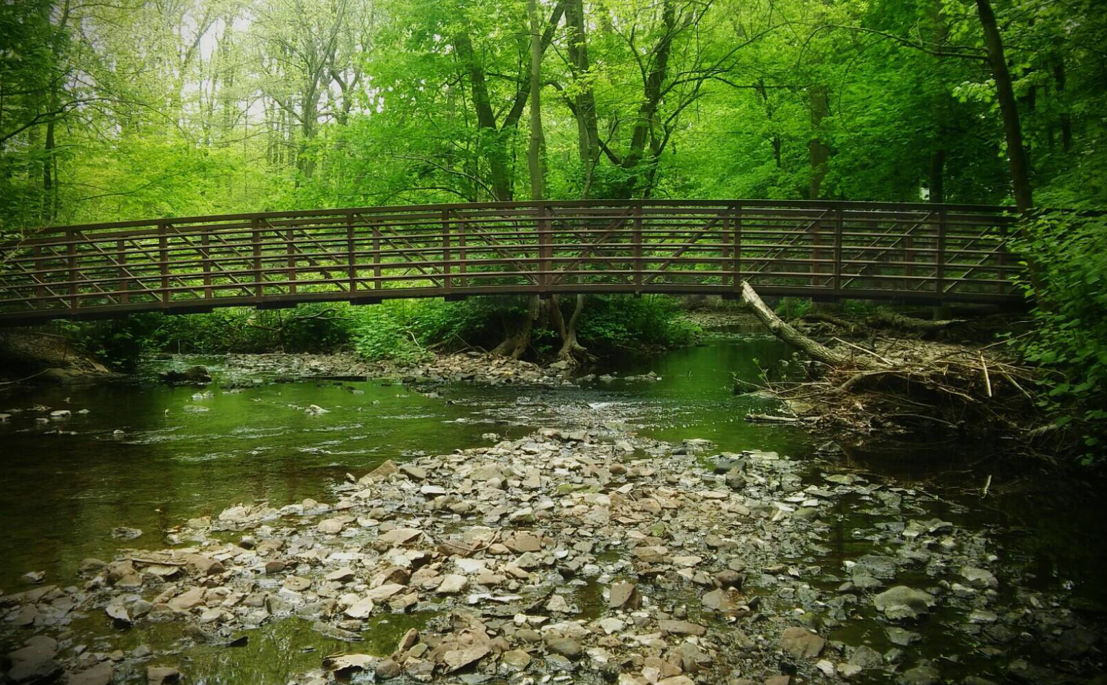NJ Bonsal Wildlife Preserve