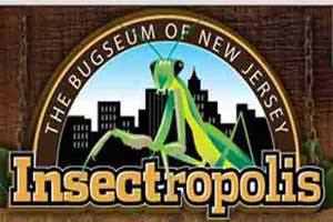 New Jersey Insectropolis New Jersey Insectropolis