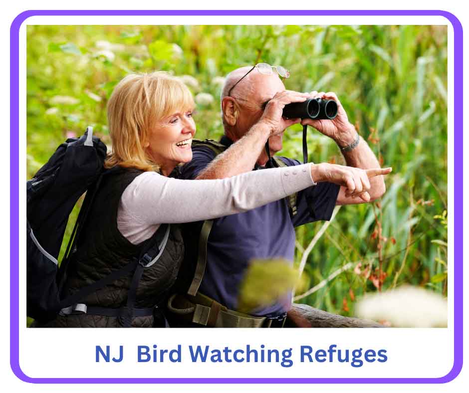 NJ Birwatching Refuges