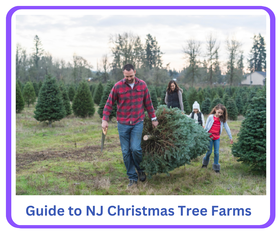 Best Central Jersey Christmas Events