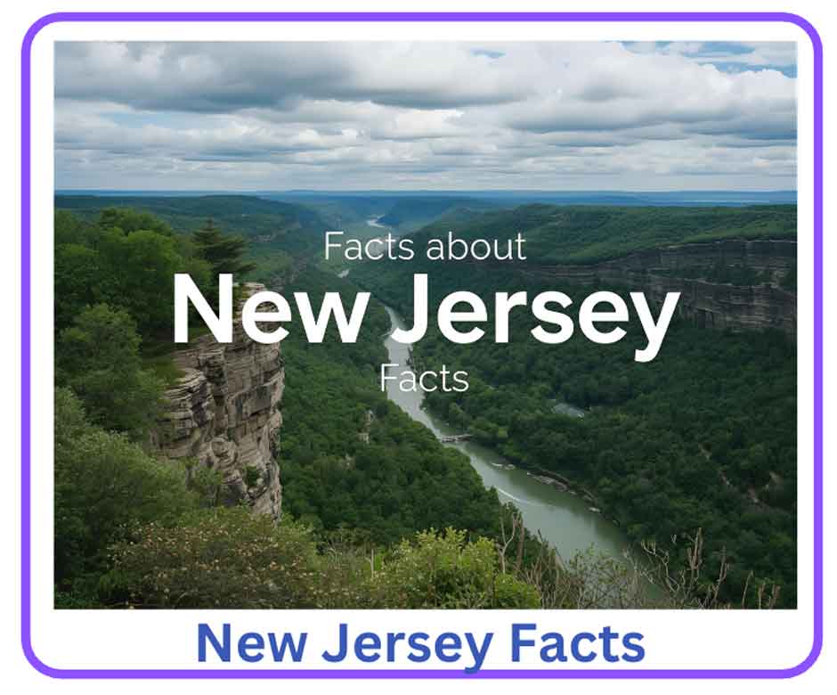 New Jersey Facts