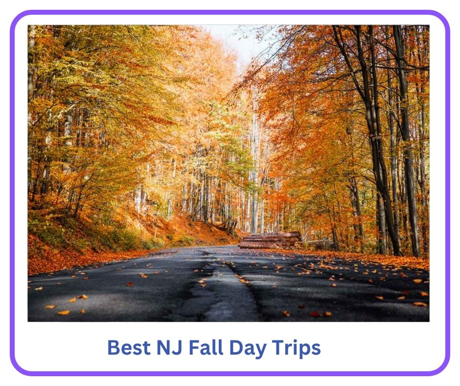 NJ Fall Day Trips