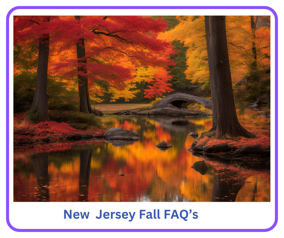 NJ Fall FAQ's