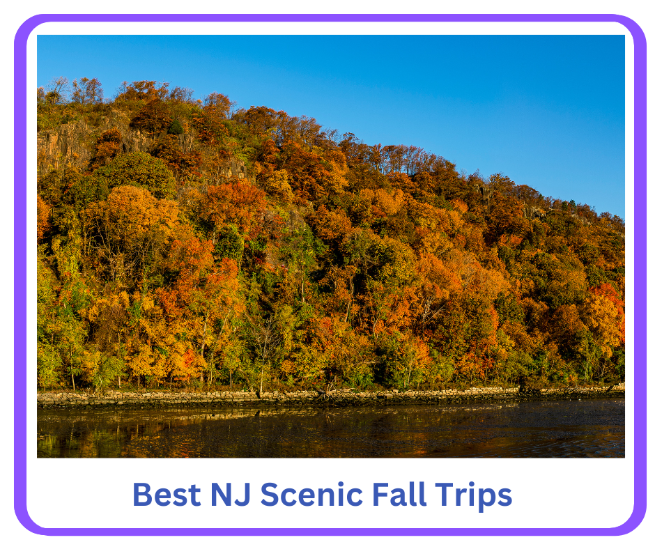 A Guide to the best NJ Fall Scenic Drives