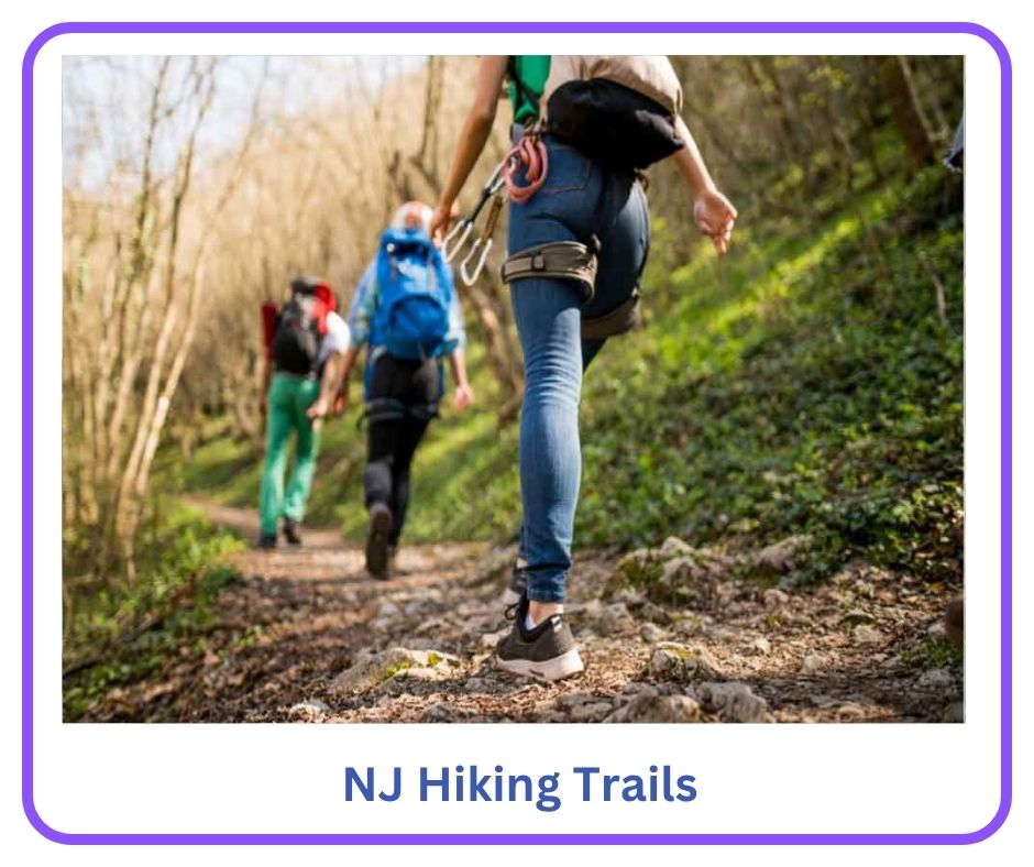 NJ Hiking