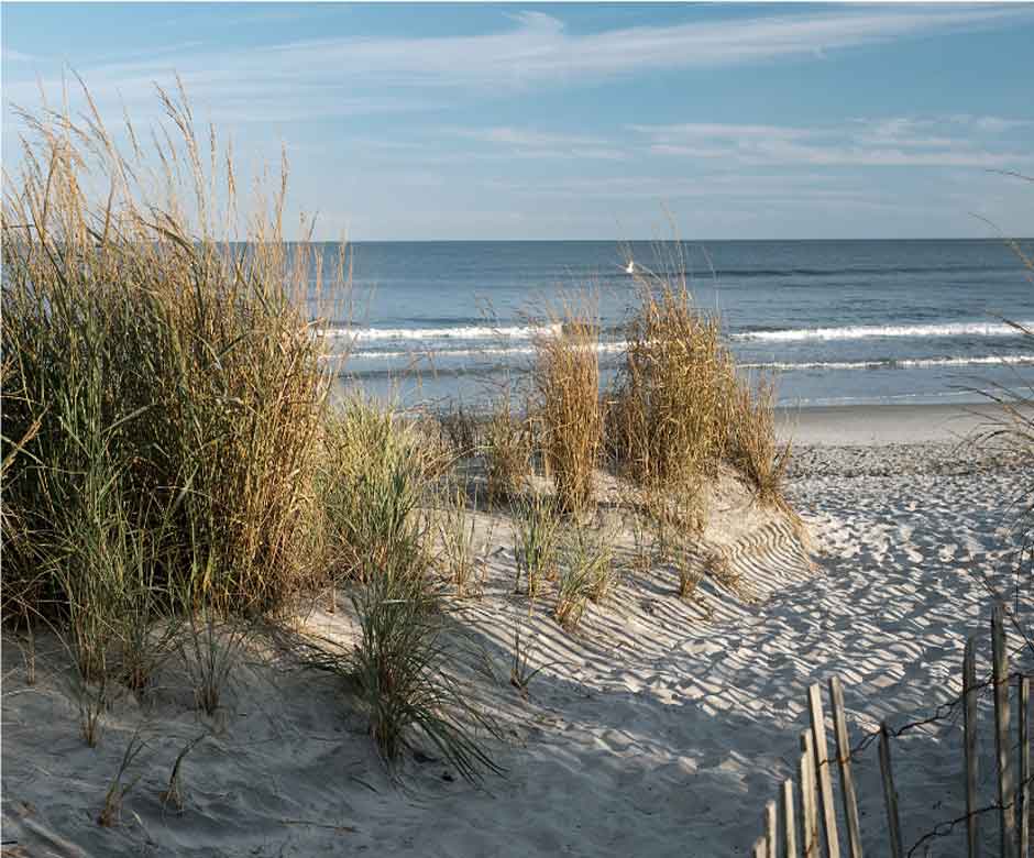 Jersey Shore Visitors Guide