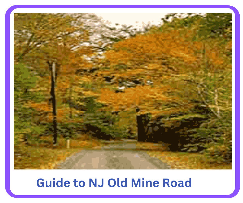 Guide to NJ Old Mine Road