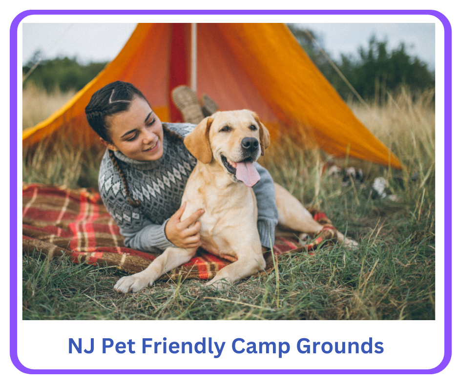 Guide to the top NJ pet friendly campgrounds