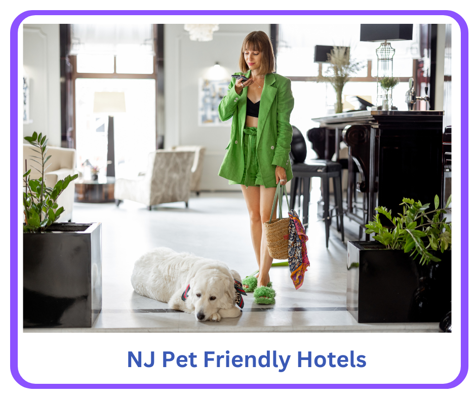 NJ Pet Friendly hotels