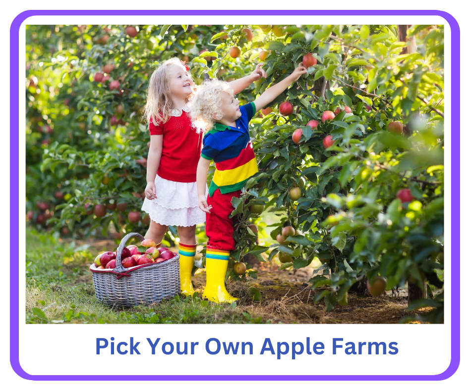 NJ Pick Your Own Apple Farms - A great family activity