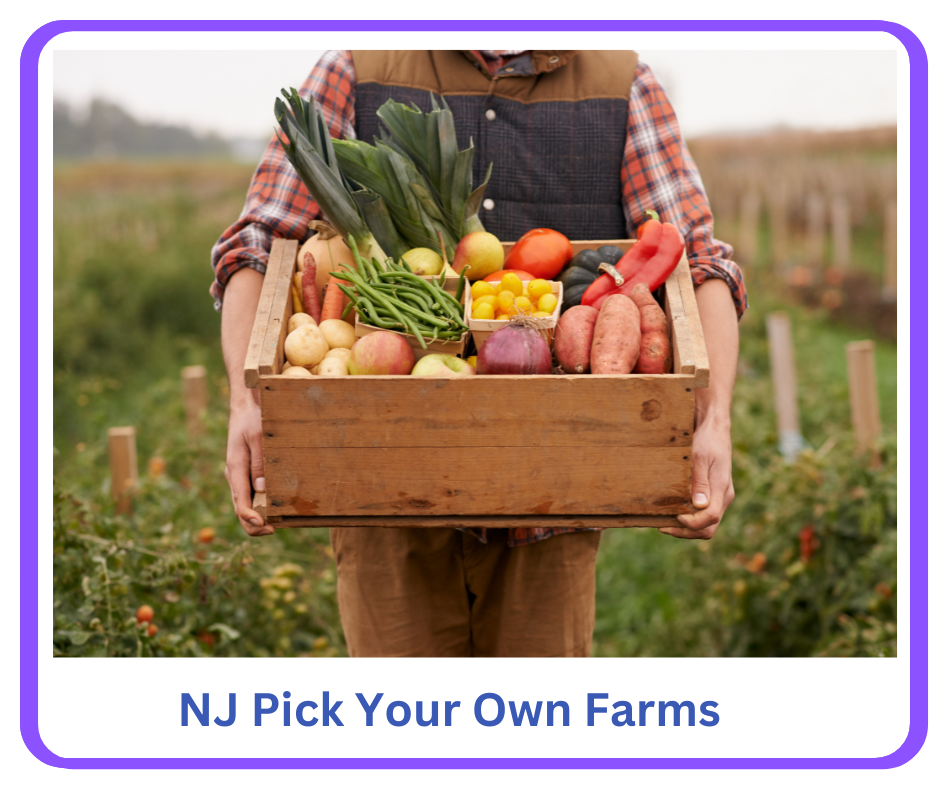 Top NJ Pick Your Own Crop Farms