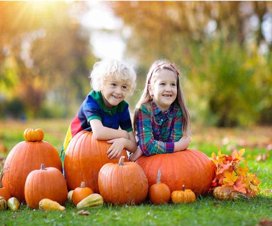 NJ Pumpkin Picking