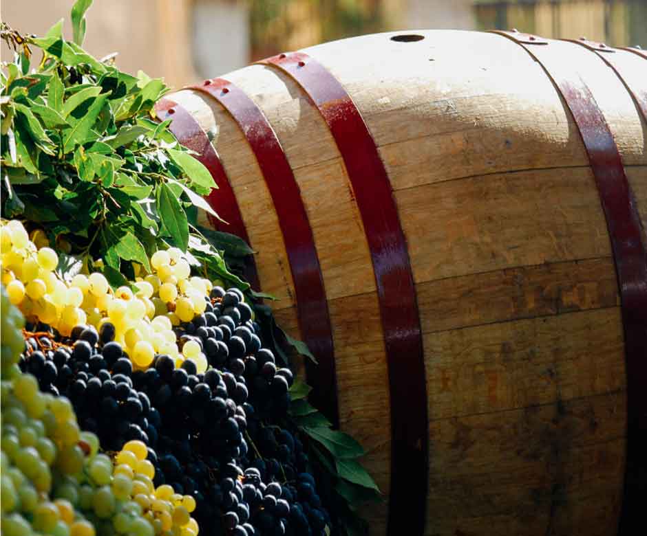 NJ Wine Festivals