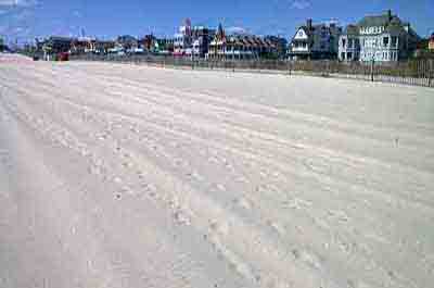 Cape May Beaches