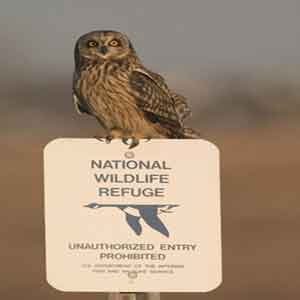 Cape May National Wildlife Refuge