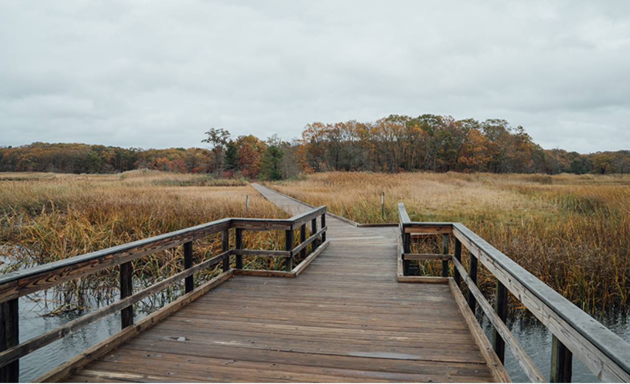 Cheesequake State Park, NJ