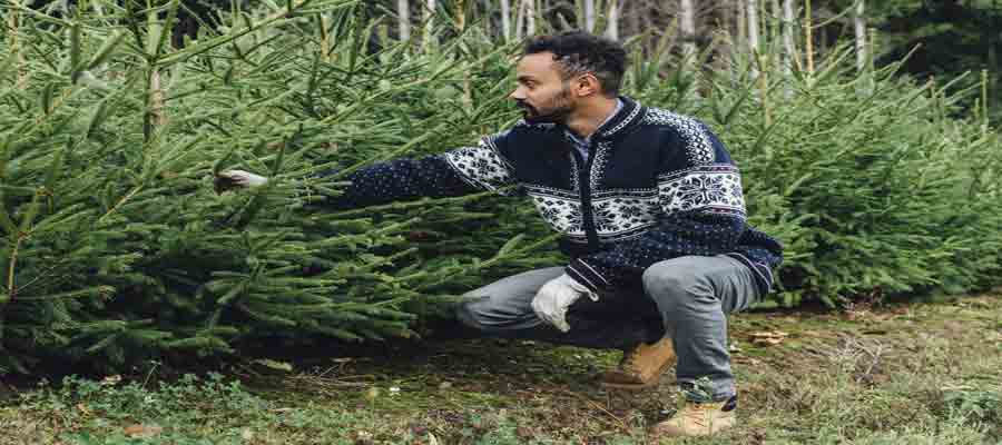 Fermes d'arbres de Noël du NJ