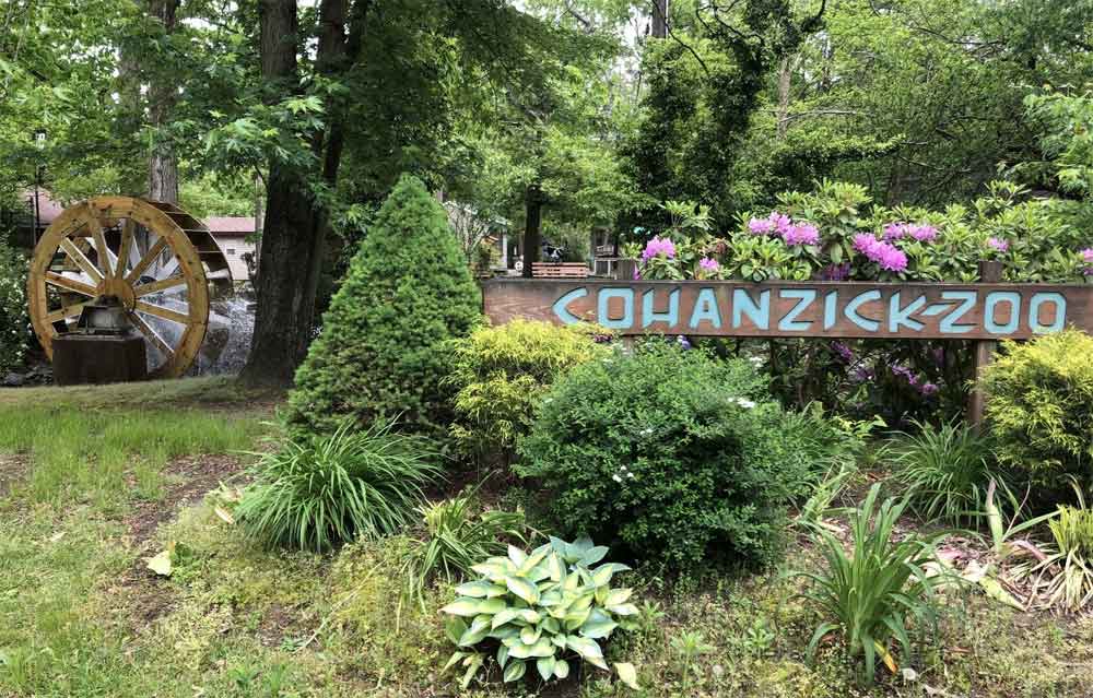 Cohanzick Zoo, Bridgeton, NJ