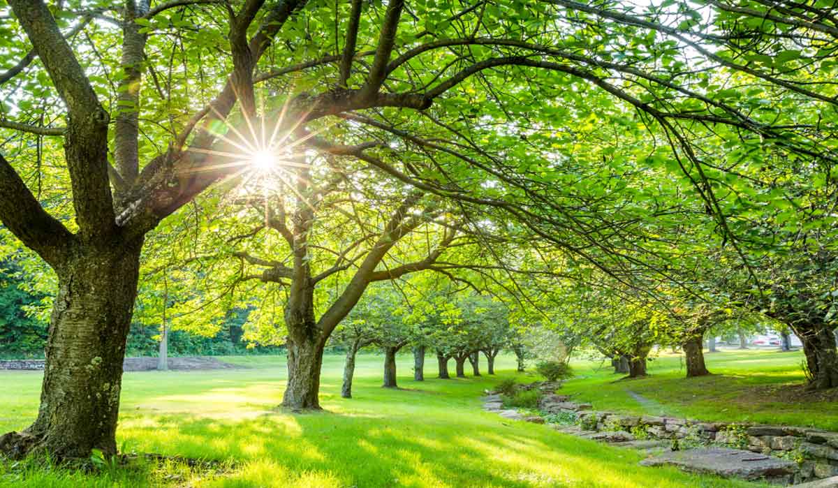 Guide to New Jersey County Parks