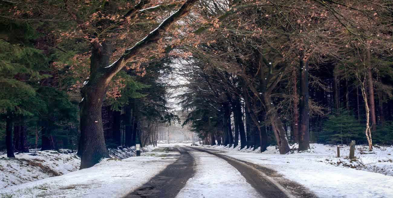 NJ December events, festivals, and festive celebrations NJ December events, festivals, and festive celebrations