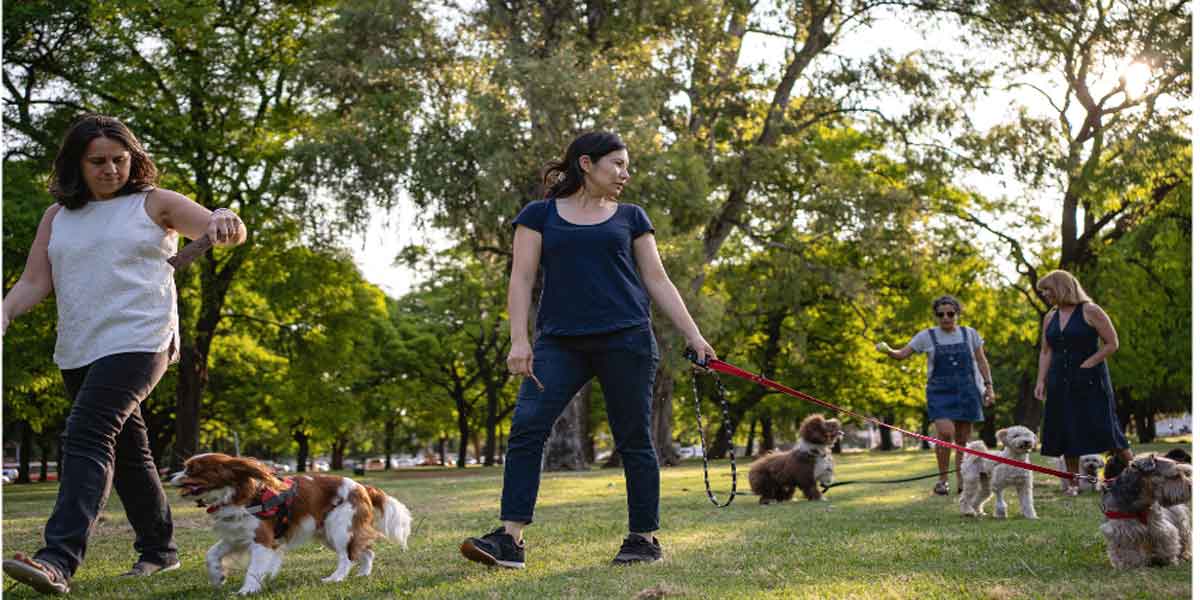 Guide to NJ Dog Parks and dog friendly beaches Guide to NJ Dog Parks and dog friendly beaches