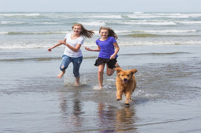 Pet Friendly Area Pet Friendly Area