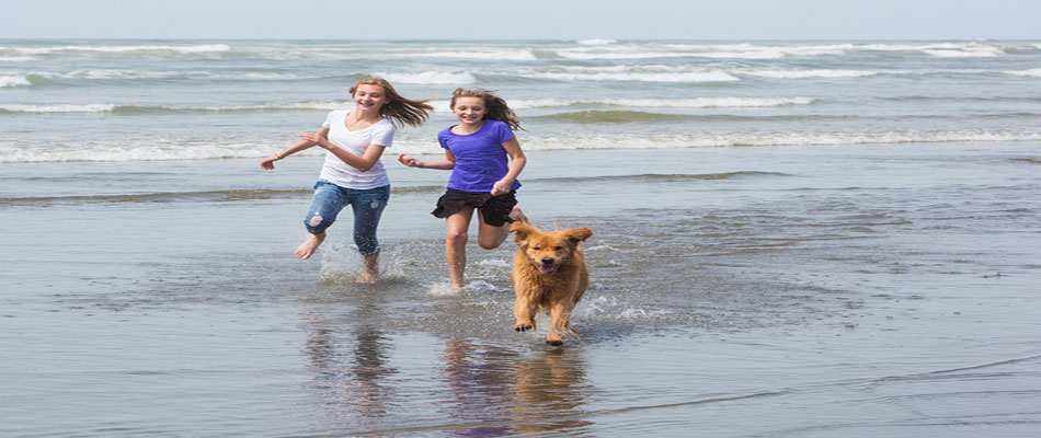 New Jersey Dog Friendly Attractions