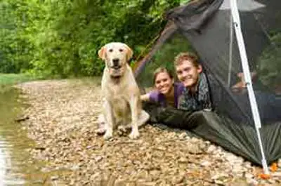 Pet Friendly Campgrounds