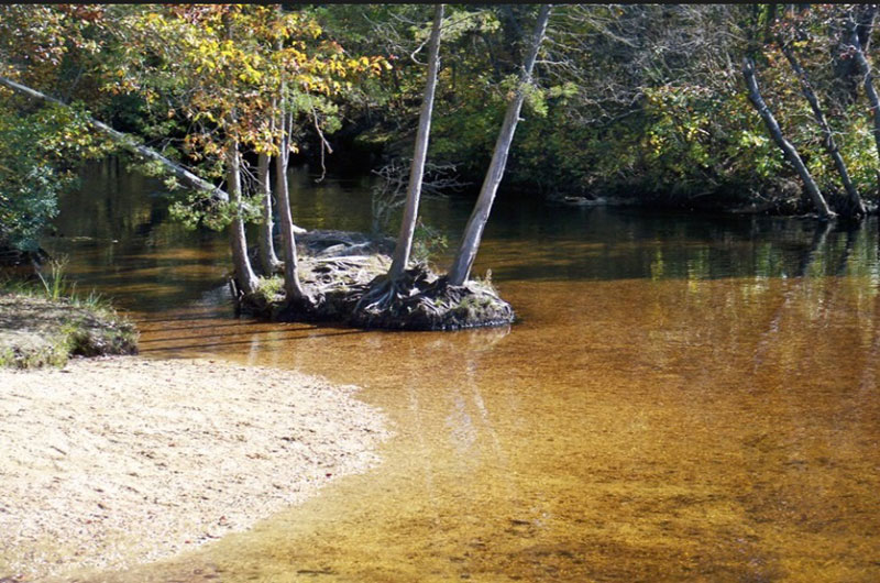 Double Tree State Park, NJ