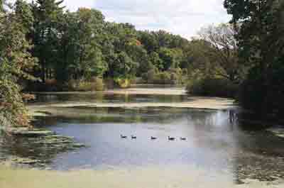 Duke Farms Lakes